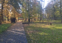 Jesień idzie przez park