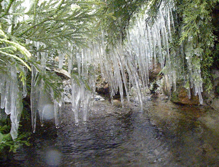 Haiku czy zimowe przyloty