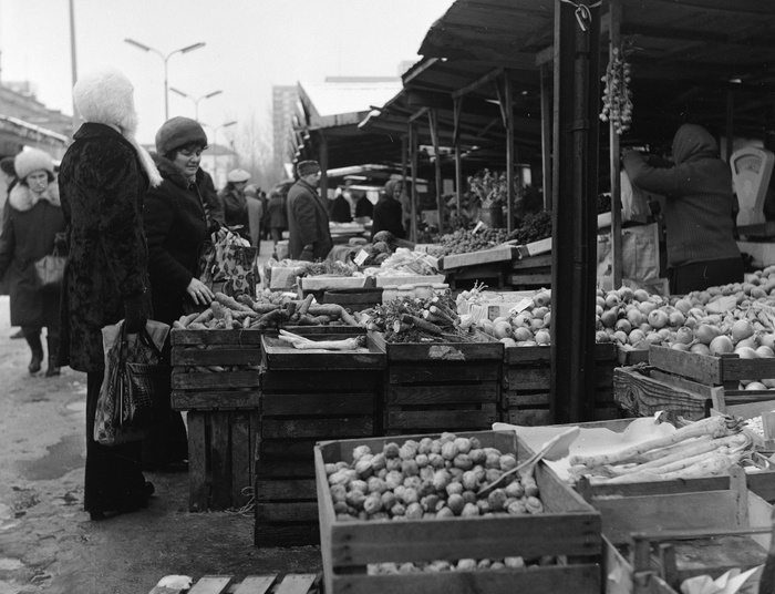 Badylarz, czyli ogrodnik socjalistycznie niepoprawny