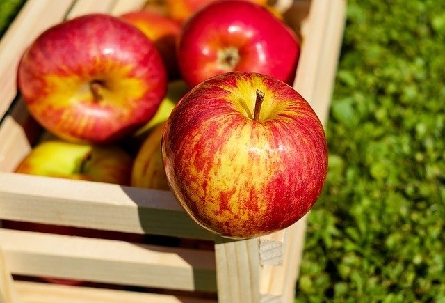 Jabłka należą do jednych z najpopularniejszych owoców w Polsce.