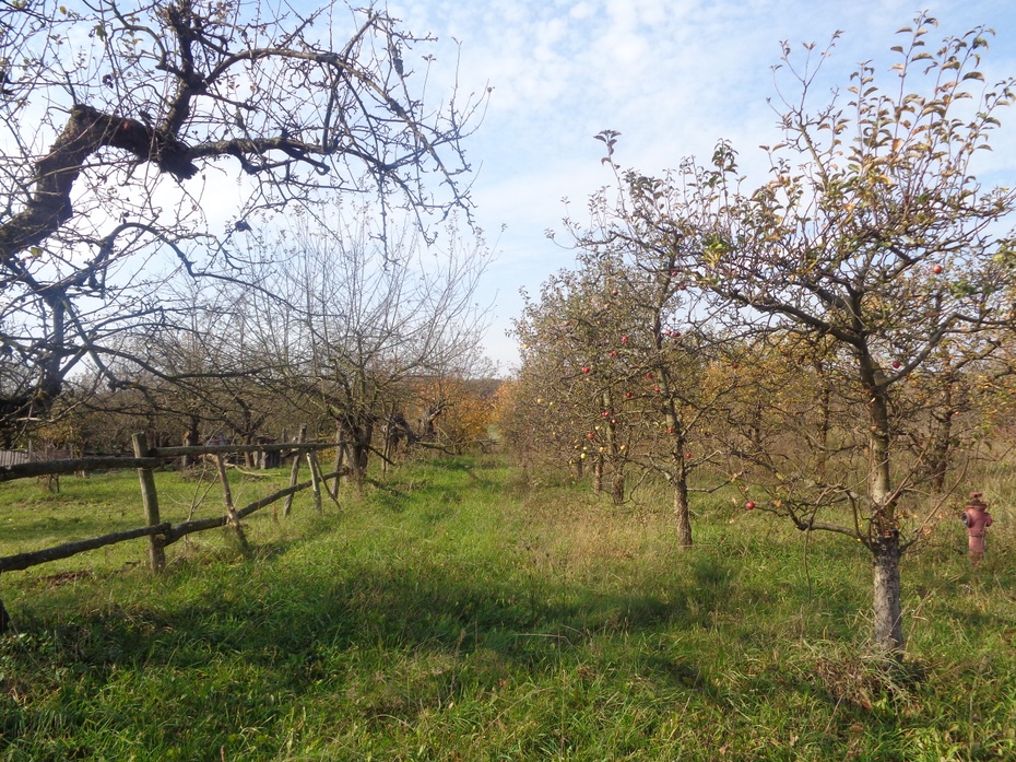 Jesienny krajobraz w okolicy Pieczysk