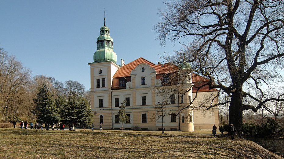 Ośrodek Leczniczo-Rehabilitacyjny "Pałac Kamieniec”. Fot. commons.wikimedia.org