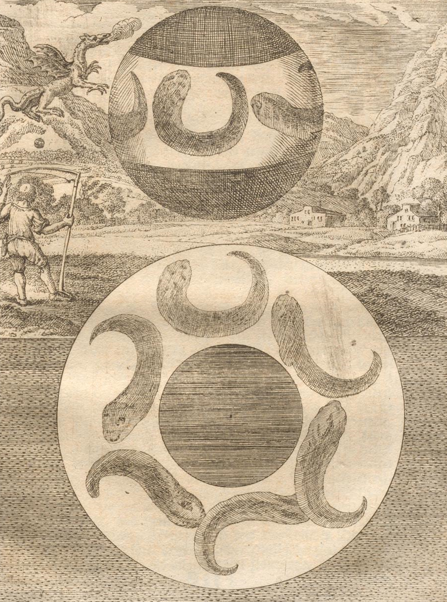 Kamień smoczy, ilustracja z dzieła 
J.J.Scheuchzera,  Natur-Geschichte des Schweizerlandes..., Zürich 1746