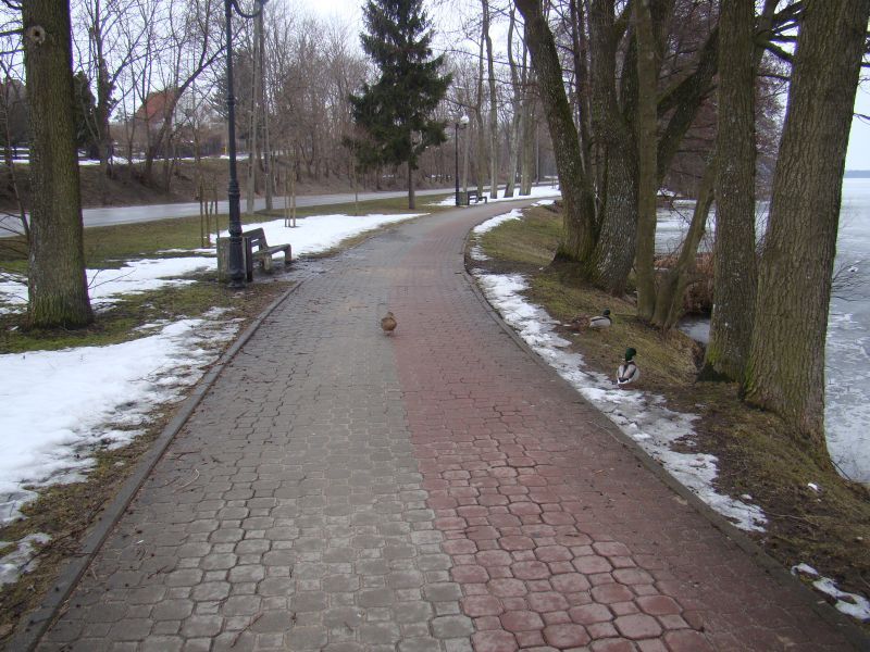 Ścieżka rowerowo-piesza wokół jeziora Czos.