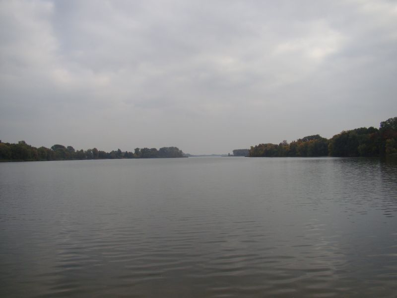 Jezioro Gopło - widok z plaży na końcu Półwyspu Rzępowskiego.