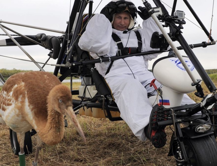 Putin nabawił się choroby przez ptaka. "Chciał się popisać"