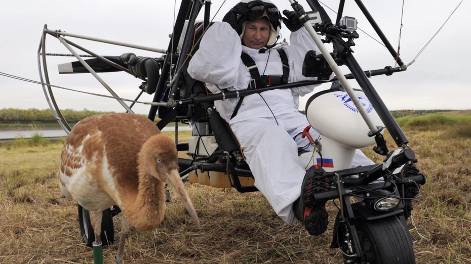 Władimir Putin w motolotni. Fot. Twitter/@WMGVs