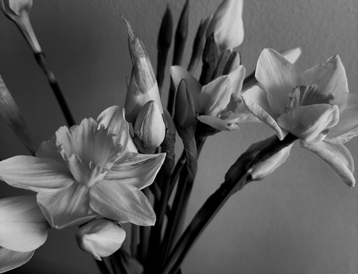 to ja - Narcyz się nazywam...