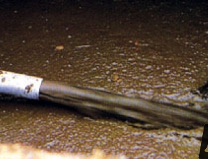 Bardzo śmierdzący problem Polaków