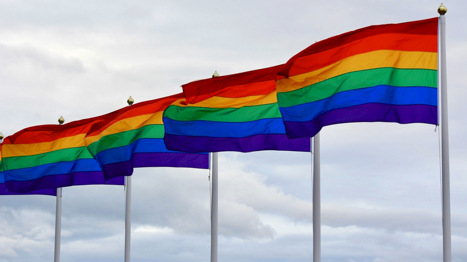 Ambasada USA w Polsce oferuje granty na programy wspierające społeczność LGBT. (fot. Pixabay)