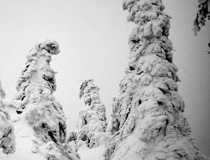 Tragedia studentów w Południowym Tyrolu