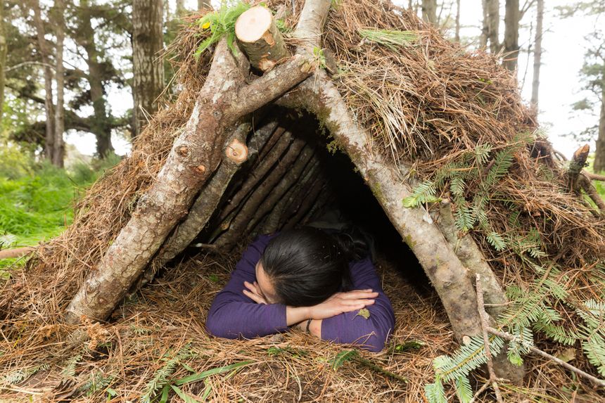 "Zanocuj w lesie" - Lasy Państwowe udostępniły miejsca biwakowania w lesie. Fot. Shutterstock