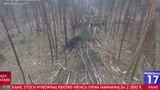 Mig-29 #67b pozostawił przecinkę w lesie drzew o średnicy <21 cm