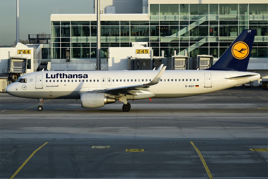 Niemieckie linie lotnicze Lufthansa poinformowały w środę o odwołaniu kolejnych 2 tys. lotów w okresie wakacyjnym. Źródło: commons.wikimedia.org