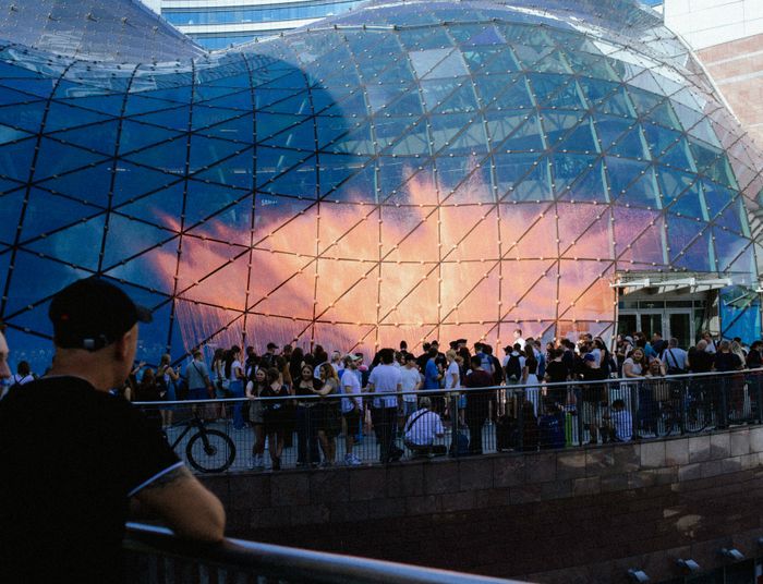 Znowu nabroili. Aktywiści z Ostatniego Pokolenia przekraczają kolejną granicę