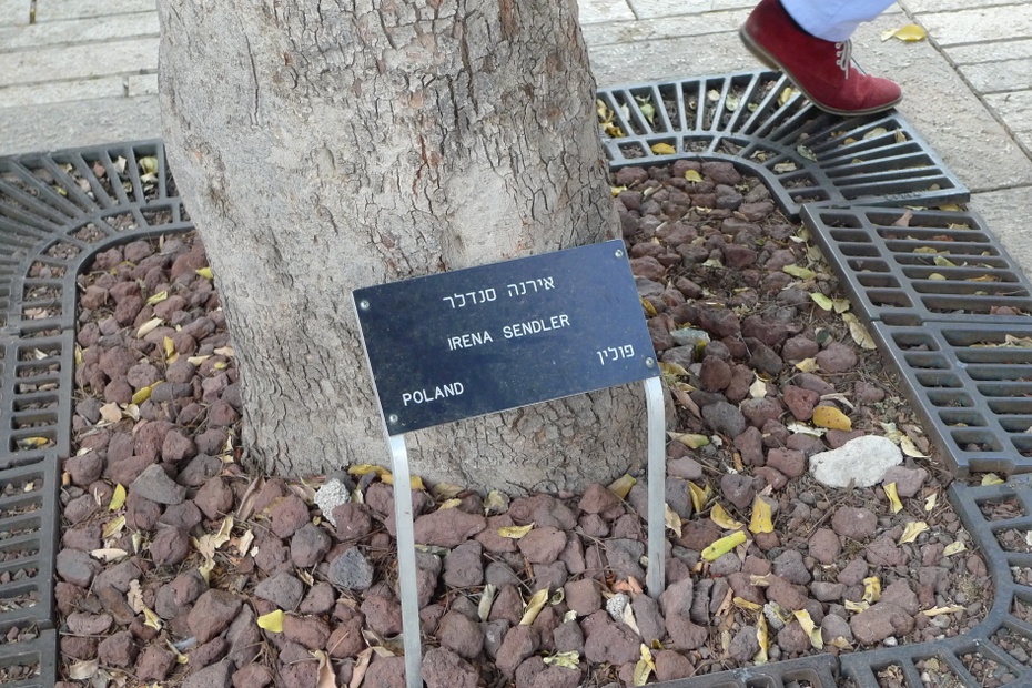 Drzewko Ireny Sendler w Yad Vashem