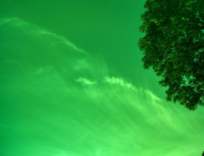 Cuda w GUS-ie, ludzie umierają i zmartwychwstają