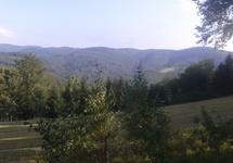 Lasy Beskidu Sądeckiego