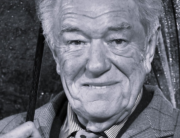 Nie żyje słynny aktor. Grał kultową postać w filmach o Harrym Potterze