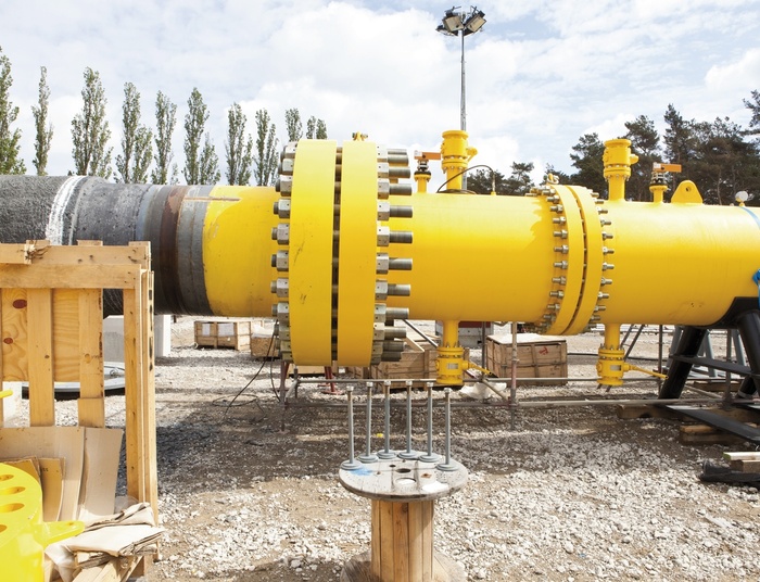 Nord Stream 2 niszczy środowisko. Interpelacja Anny Fotygi