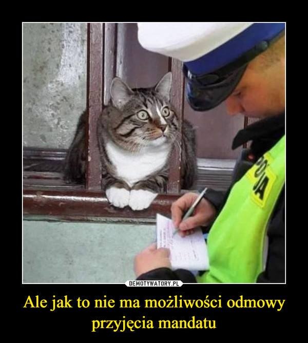 https://gazetakrakowska.pl/mandaty-bez-odwolania-memy-internautow-to-najlepsza-odpowiedz-na-nowy-pomysl-troche-humoru-nigdy-nie-zaszkodzi/ga/c1-14917230/zd/47401938