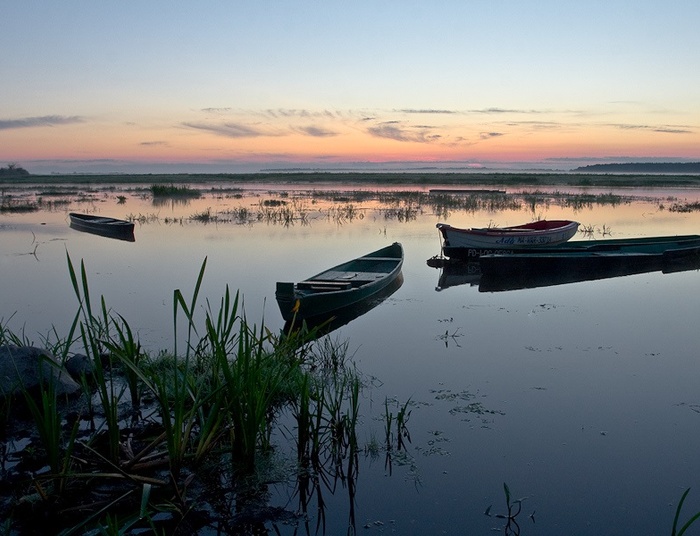 Kraina dzikiej przyrody i pływających krów