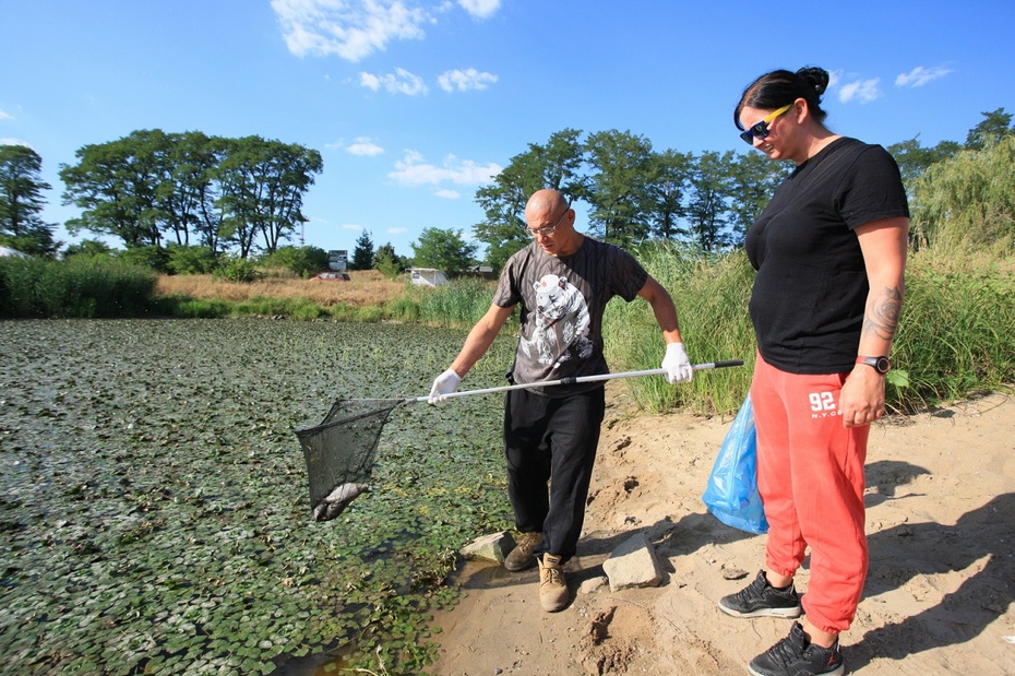 Mieszkańcy wsi Cigacice zbierają śnięte ryby w rzece Odrze. Fot. PAP/PAP/Lech Muszyński