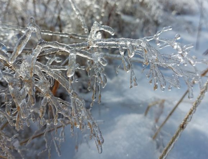 Pogoda na święta Bożego Narodzenia. Temperatura może nas zaskoczyć