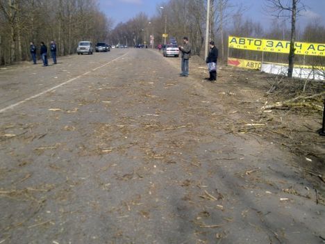 Ulica Kutuzowa i połamane gałęzie