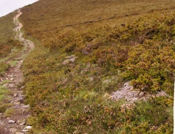 Oby ziemia pod twoimi stopami stawała się drogą